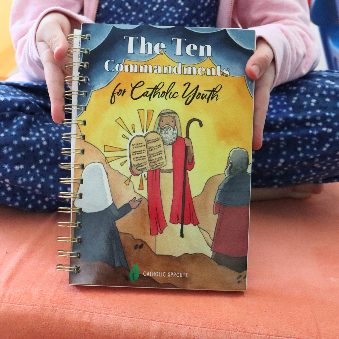 The Ten Commandments for Catholic Youth