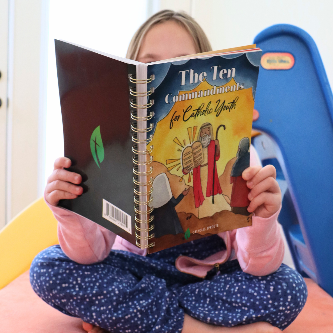 The Ten Commandments for Catholic Youth Digital Copy