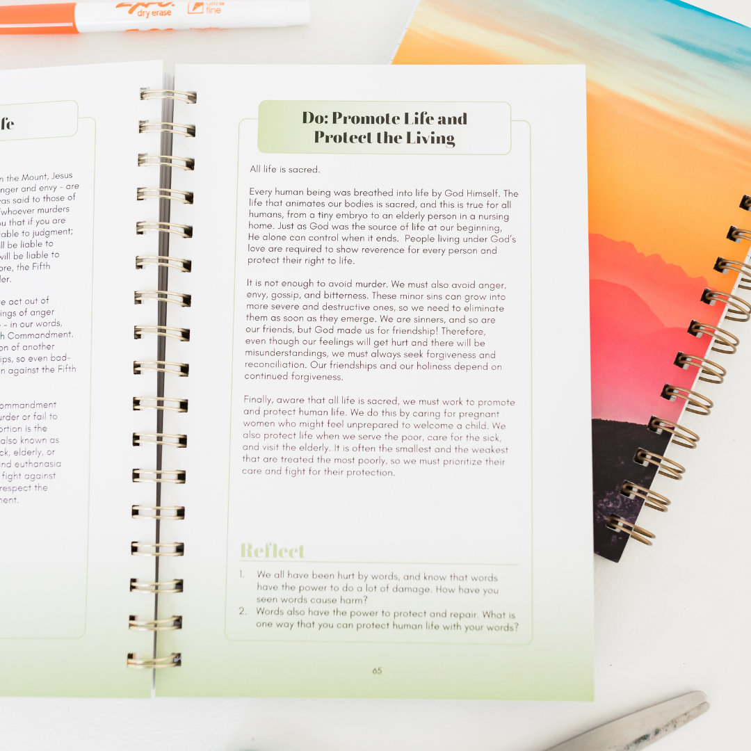 The Ten Commandments for Catholic Youth Digital Copy