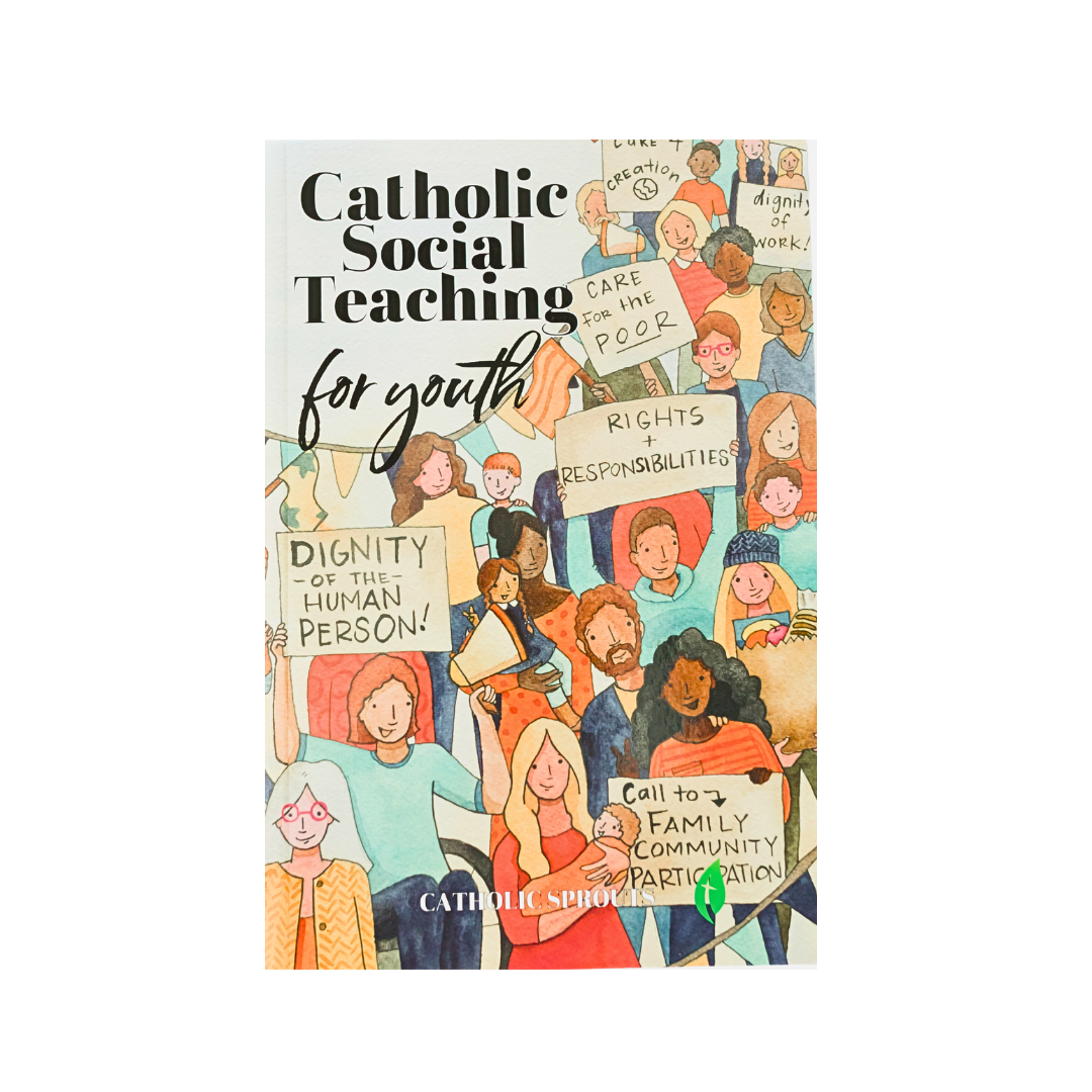 Catholic Social Teaching for Youth