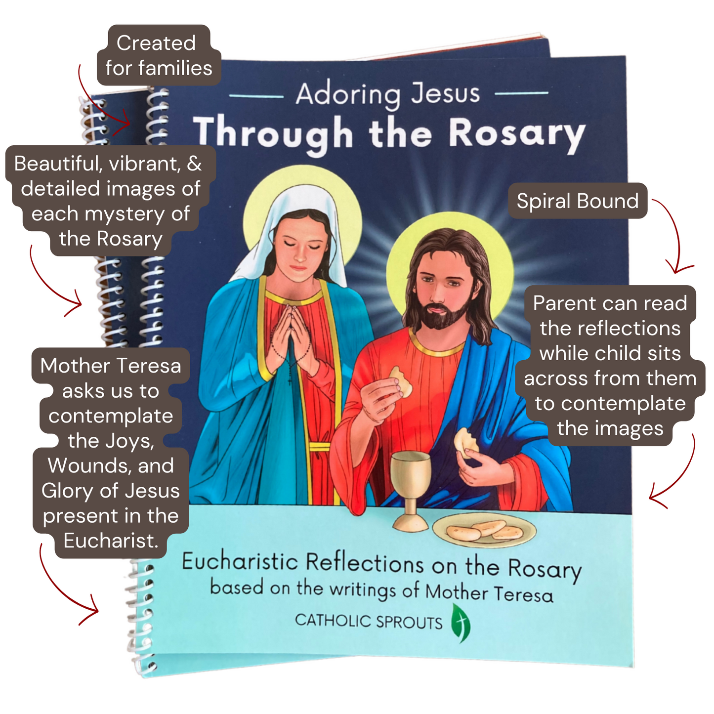DIGITAL COPY: Adoring Jesus Through the Rosary