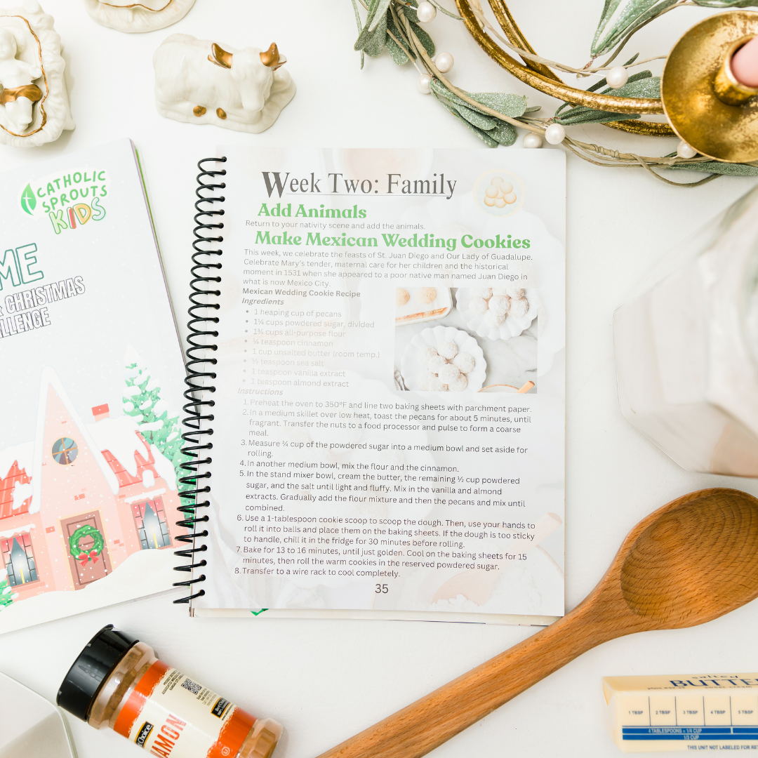 Catholic Sprouts Kids: Home Advent & Christmas Challenge