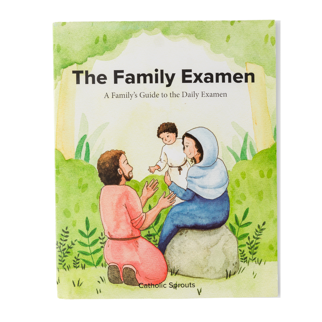 Family Examen: Daily Examen Storybook for Families