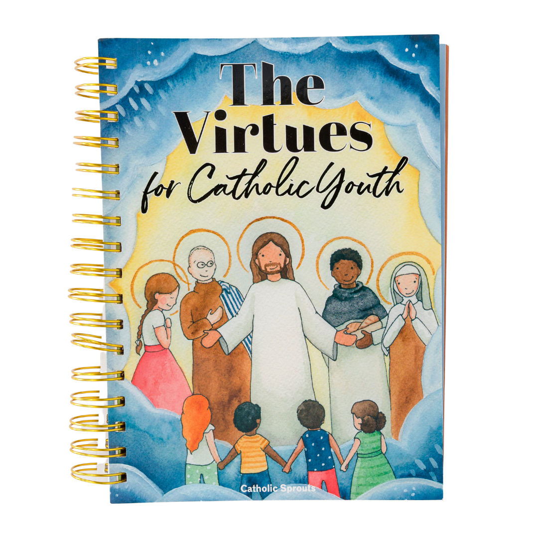 The Virtues for Catholic Youth