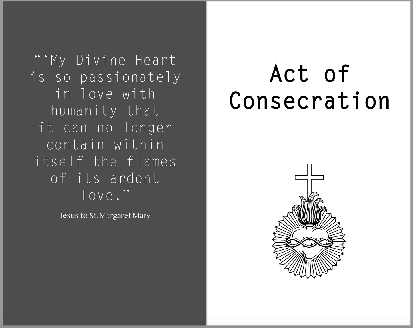 Write Our Name on Your Heart: Digital Copy (Family Consecration to the Sacred Heart of Jesus)