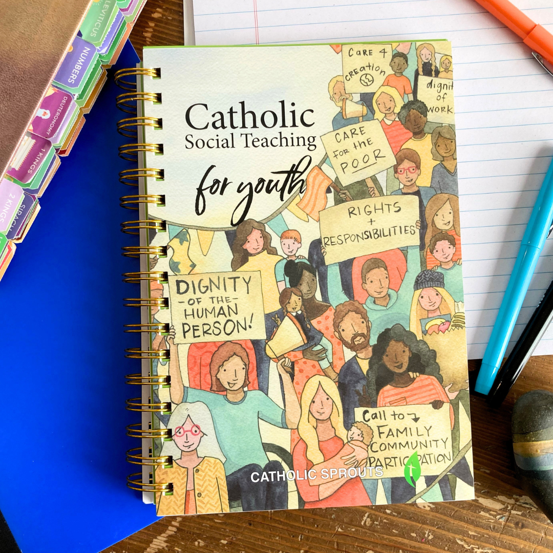 Catholic Social Teaching for Youth