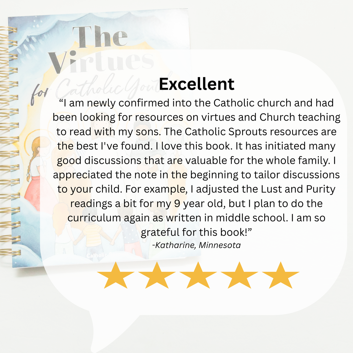The Virtues for Catholic Youth