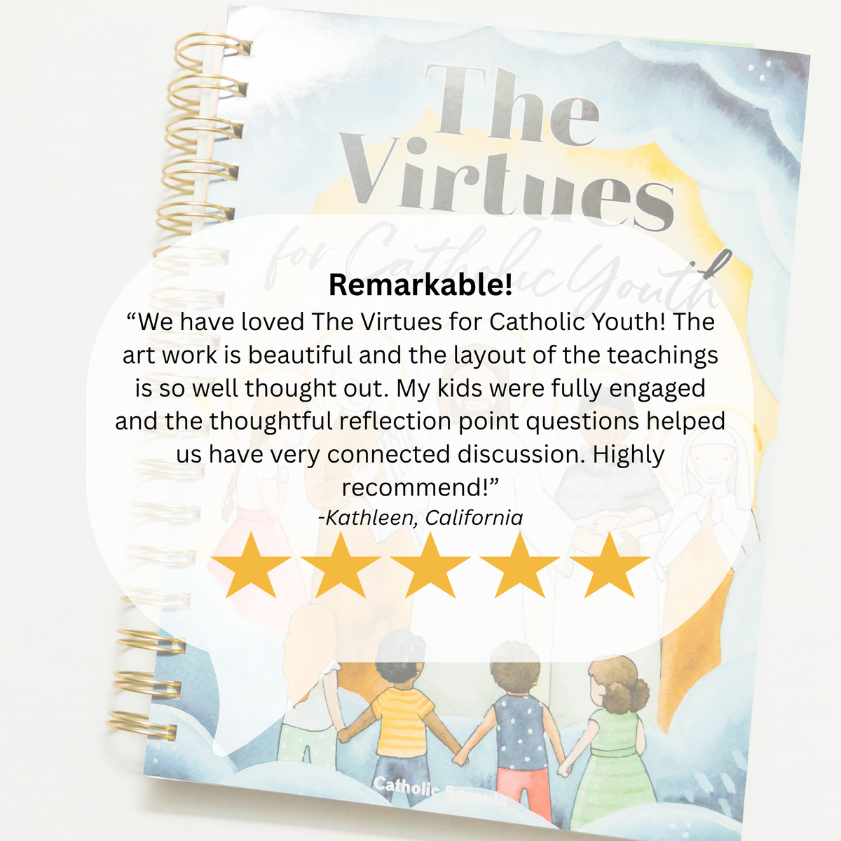 The Virtues for Catholic Youth