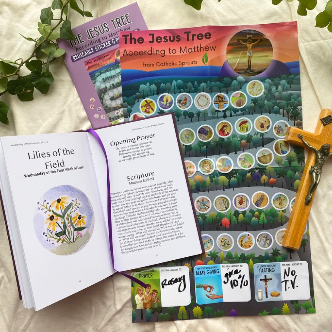 FULL CASE - The Jesus Tree According to Matthew: Lenten Devotional for Families