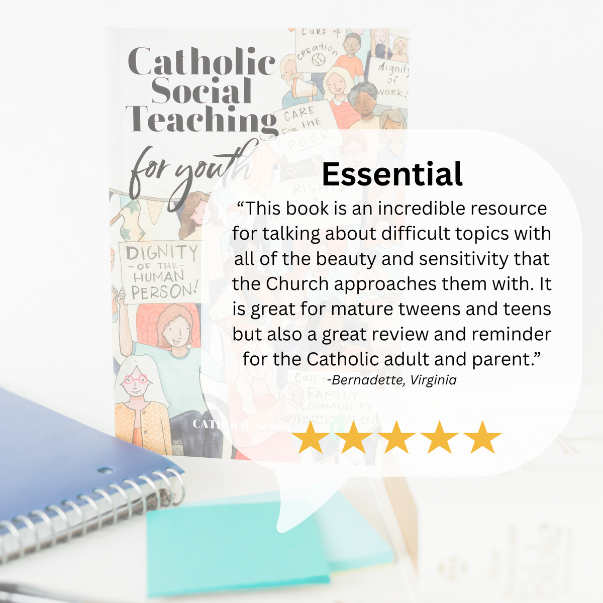 Catholic Social Teaching for Youth