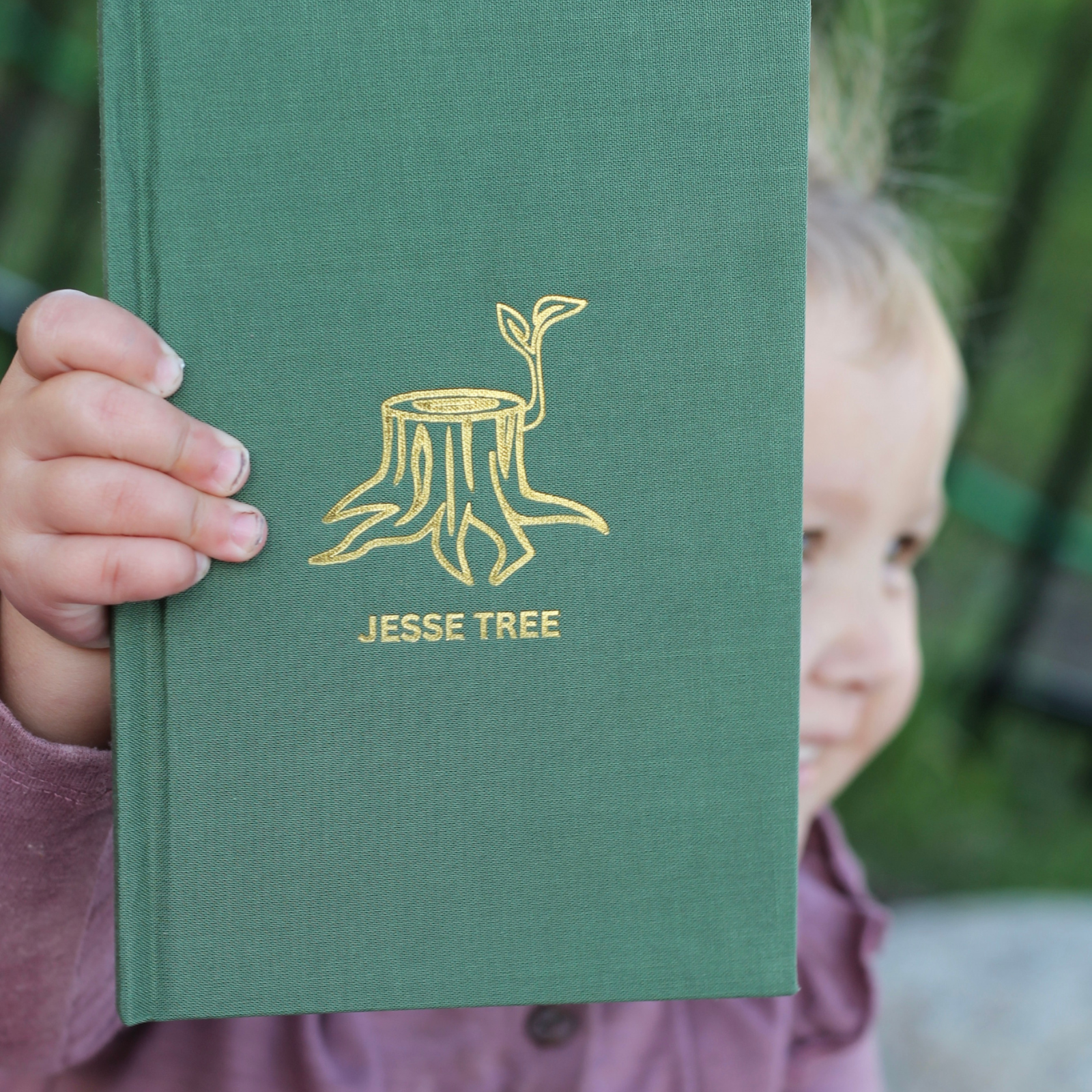The Jesse Tree: Advent Devotional for Families