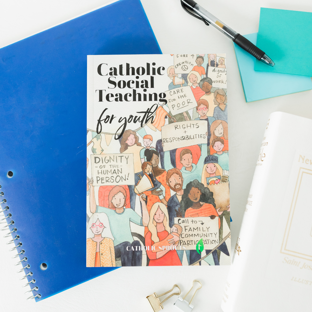 Catholic Social Teaching for Youth