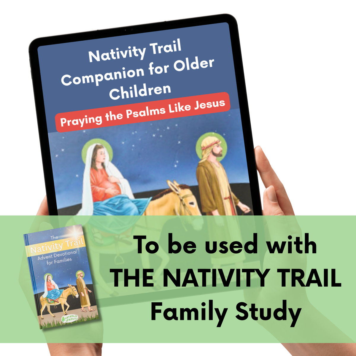 DIGITAL COPY: The Nativity Trail Companion for Older Kids