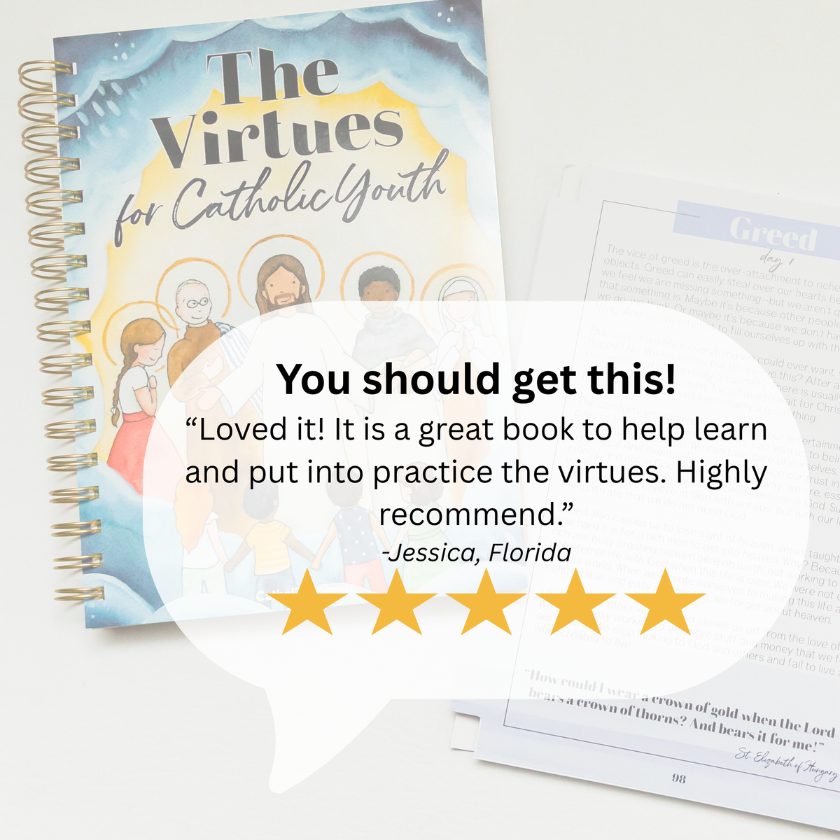 The Virtues for Catholic Youth