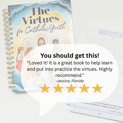 The Virtues for Catholic Youth