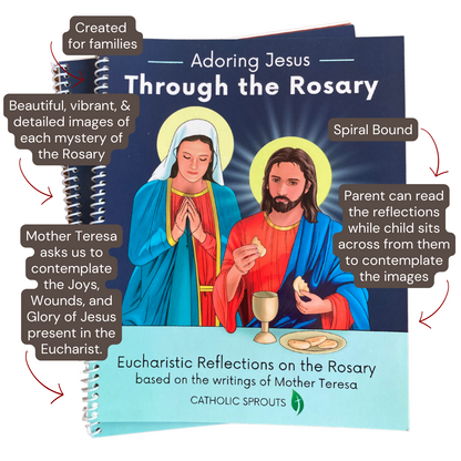 Adoring Jesus Through the Rosary