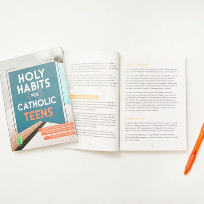 Holy Habits for Catholic Teens