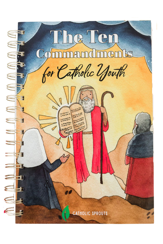 The Ten Commandments for Catholic Youth